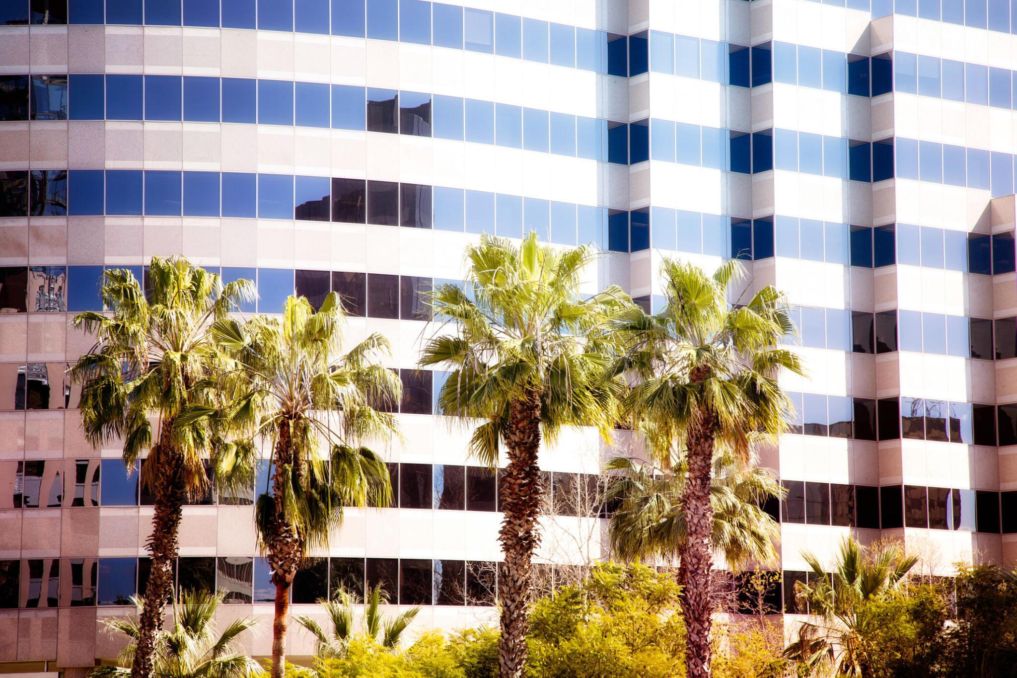 Companies Operating in Dubai Silicon Oasis