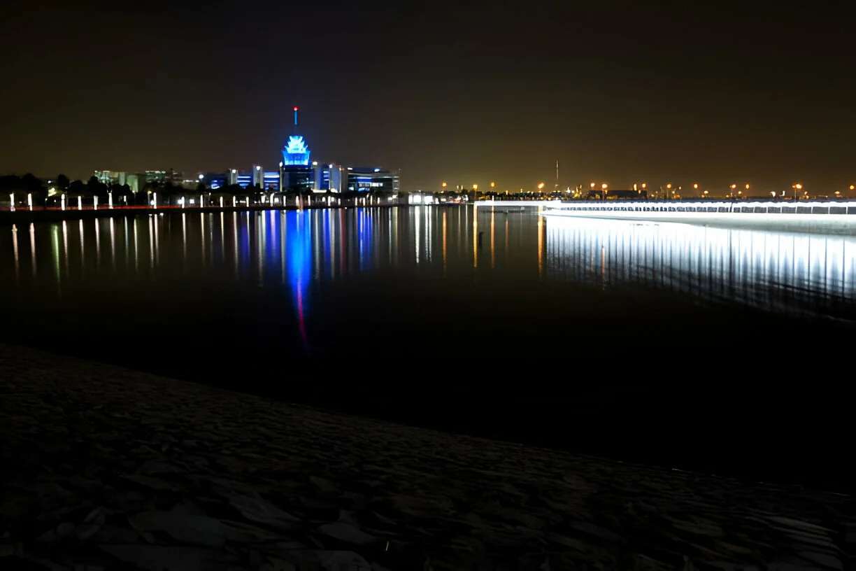 Top Companies in Silicon Oasis